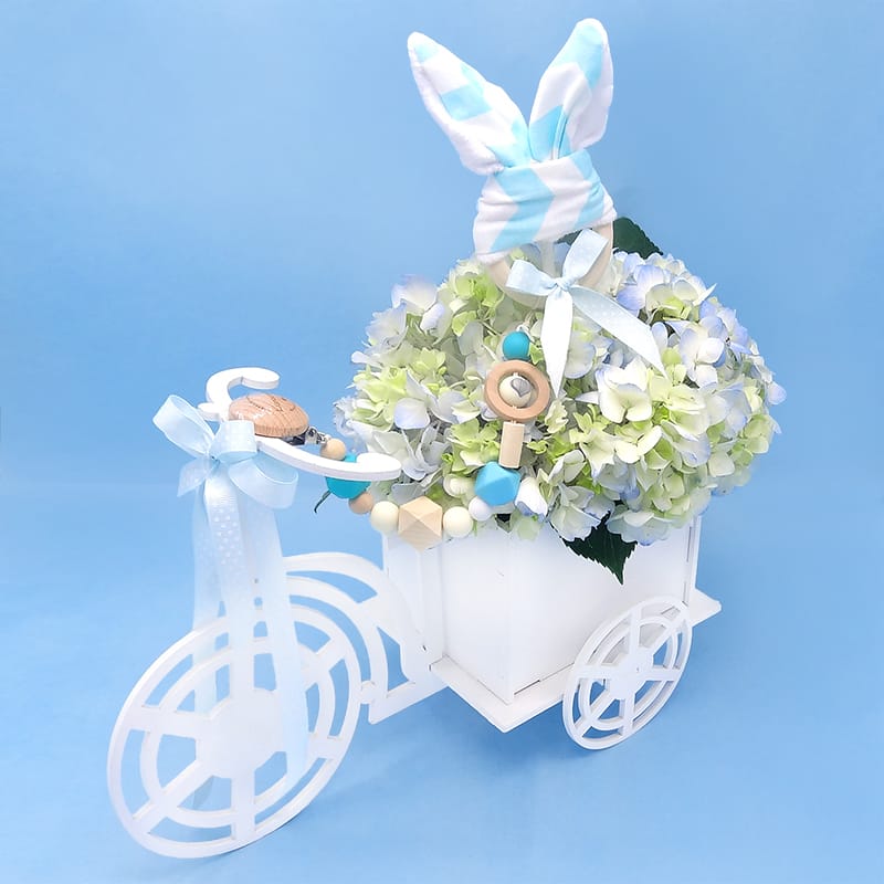 detalles de bebe bicicleta