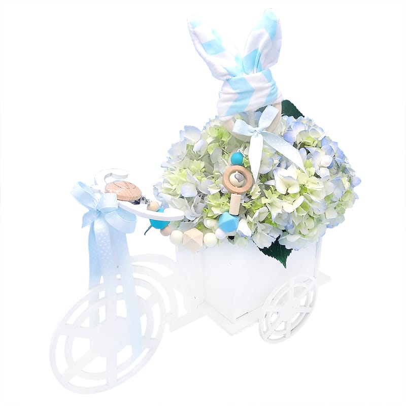 Regalo para bebe bicicleta