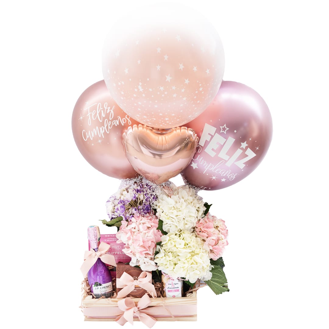 Arreglo de hortensias con champaña chocolates y bouquet de globos