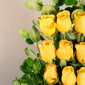 arreglo de rosas con chocolates ferrero, rosas para regalar, celebra con flores, flores de colores, chocolates ferrero para regalar, ferrero rocher, rosas y chocolates, regalo con rosas, regalo con chocolates, crema de whiskey, detalle para dama, regalo para mujer, arreglo floral con licor, baileys, flores con baileys para dama, caja de madera, regalos en bogota, flores en bogotá, flores en colombia, flores a domicilio en bogota, regalos a domicilio en bogota