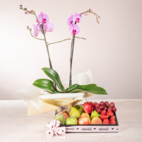 orquidea natural de regalo, regalar orquidea, orquideas en bogota, regalo para dama, regalar flores en bogotá, orquideas de regalo, frutas con flores, regalo de orquidea y frutas, regalos gourmet, regalos en bogotá